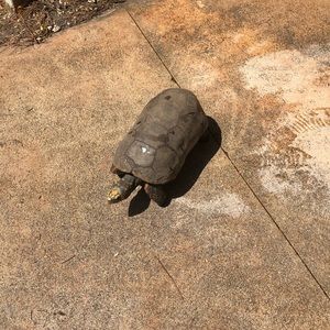 Meet your Posher, Savanna